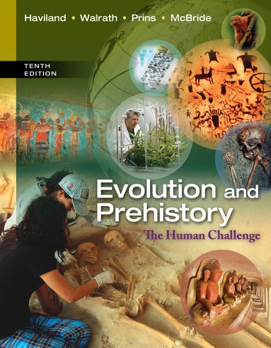 Beispielbild fr Evolution and Prehistory: The Human Challenge zum Verkauf von Ergodebooks