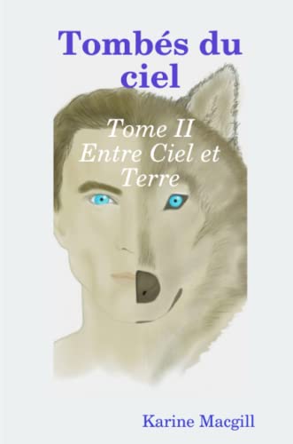 9781291012439: Tombs du ciel tome 2 Entre Ciel et Terre