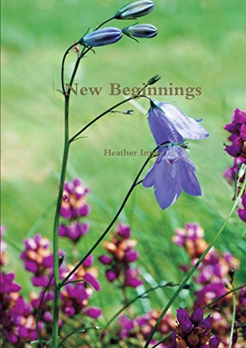 Stock image for New Beginnings for sale by WorldofBooks