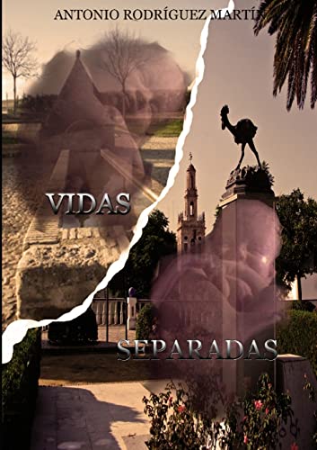 Stock image for Vidas separadas for sale by Chiron Media