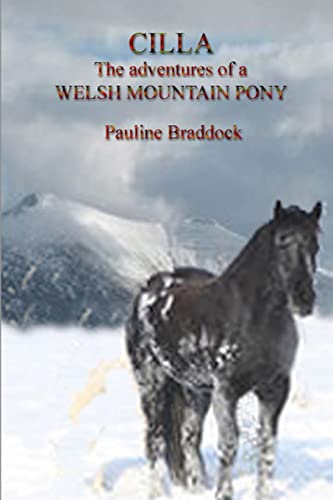 Stock image for Cilla The adventures of a Welsh Mountain Pony for sale by Bahamut Media