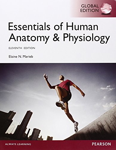 Stock image for Essentials of Human Anatomy & Physiology, Global Edition for sale by The Book Nest Ltd