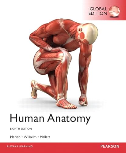 Beispielbild fr Human Anatomy zum Verkauf von SecondSale