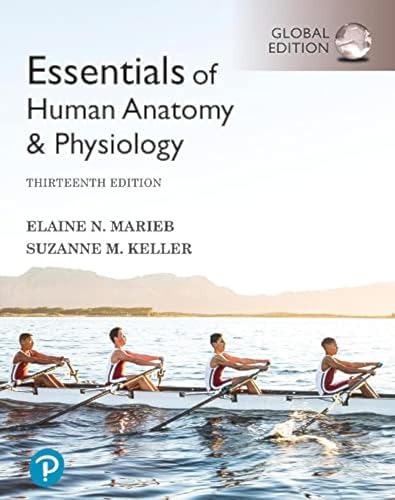 Stock image for Essentials of Human Anatomy & Physiology, Global Edition + Mastering A&P with Pearson eText (Book & Merchandise) for sale by Grand Eagle Retail