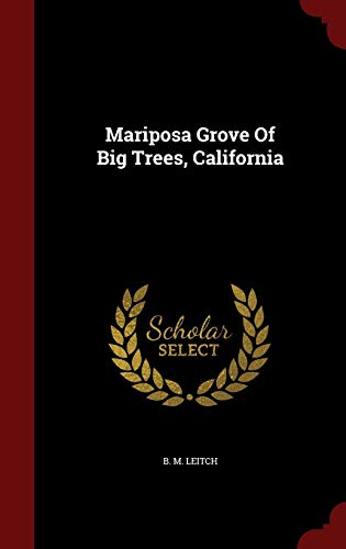 9781296845827: Mariposa Grove of Big Trees, California