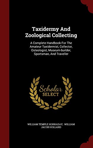 Taxidermy and Zoological Collecting: A Complete Handbook for the Amateur Taxidermist, Collector, Osteologist, Museum-Builder, Sportsman, and Traveller (Hardback) - William Temple Hornaday