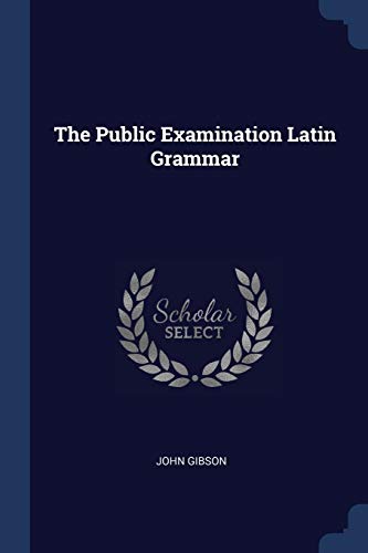 Beispielbild fr The Public Examination Latin Grammar zum Verkauf von dsmbooks
