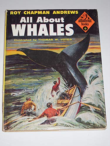 Beispielbild fr All about whales (Allabout books, 8) zum Verkauf von Better World Books: West