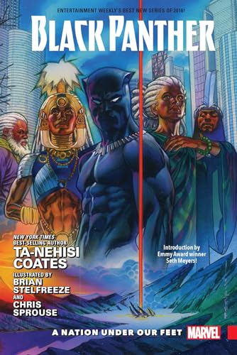 Stock image for BLACK PANTHER VOL. 1: A NATION UNDER OUR FEET for sale by Goodwill Books