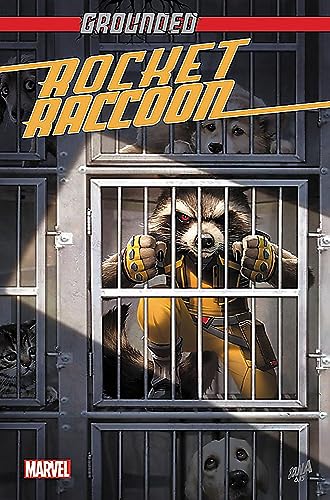 Stock image for Rocket Raccoon: Grounded for sale by Books From California