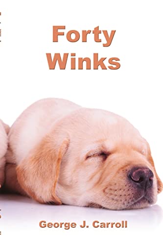 Stock image for Forty Winks [Soft Cover ] for sale by booksXpress