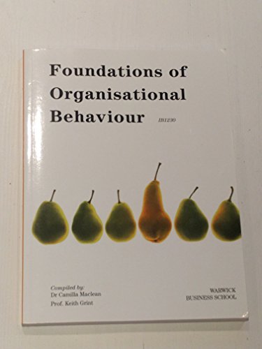 Imagen de archivo de Foundations Organisat Behaviour Custom a la venta por MusicMagpie