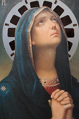 Stock image for Mary for sale by PBShop.store US