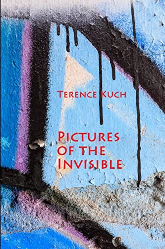 9781312284906: Pictures of the Invisible
