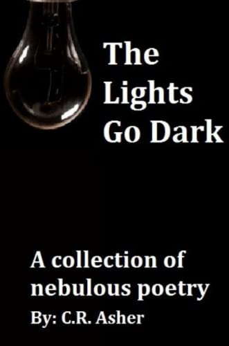 Beispielbild fr The Lights Go Dark zum Verkauf von Lucky's Textbooks