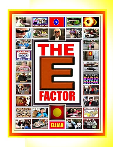 Imagen de archivo de THE E FACTOR a la venta por Lucky's Textbooks