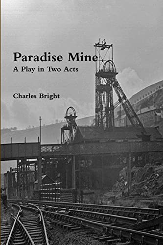 Imagen de archivo de Paradise Mine a la venta por Lucky's Textbooks