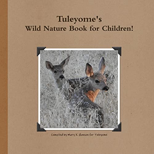 Stock image for Tuleyome's Wild Nature Book for sale by PBShop.store US