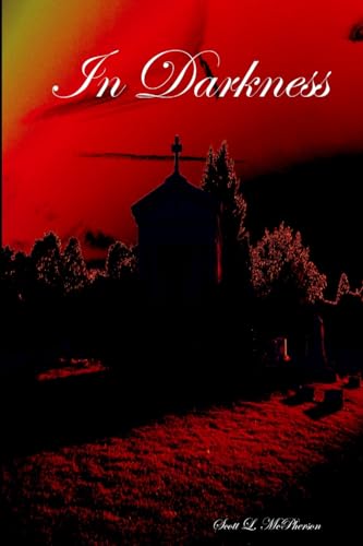Stock image for In Darkness for sale by California Books