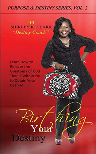 Stock image for Birthing Your Destiny: Learn How to release the greatness of God within you to obtain your destiny. for sale by Lucky's Textbooks