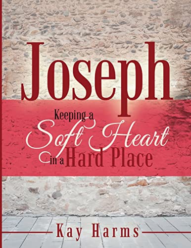Stock image for Joseph - Keeping a Soft Heart in a Hard Place for sale by HPB-Red