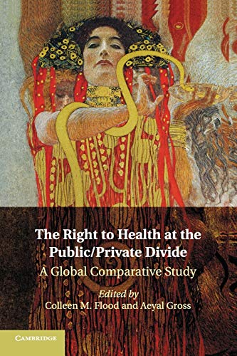 Stock image for The Right to Health at the Public/Private Divide: A Global Comparative Study for sale by Theoria Books