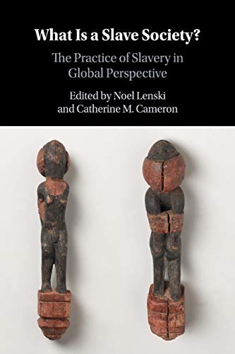 Beispielbild fr What Is a Slave Society? : The Practice of Slavery in Global Perspective zum Verkauf von Better World Books: West