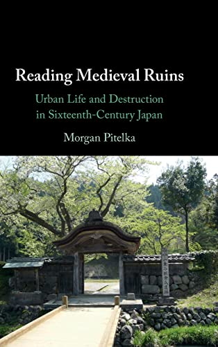 Imagen de archivo de Reading Medieval Ruins a la venta por ThriftBooks-Dallas