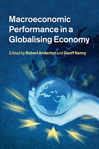 Stock image for Macroeconomic Performance in a Globalising Economy for sale by Cambridge Rare Books