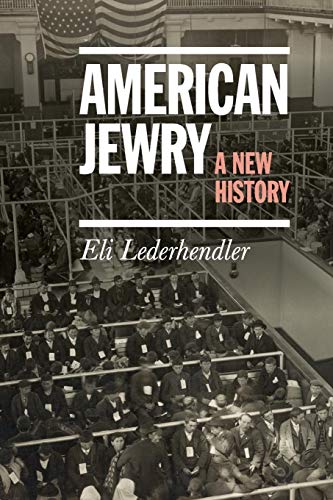 Stock image for American Jewry: A New History for sale by Textbooks_Source