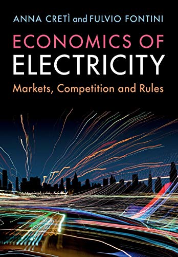 Imagen de archivo de Economics of Electricity: Markets, Competition and Rules a la venta por Sharehousegoods