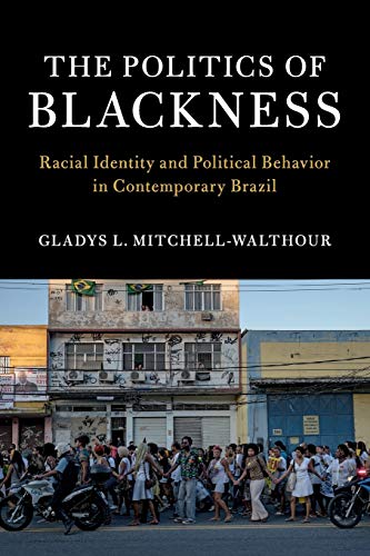 Stock image for The Politics of Blackness: Racial Identity and Political Behavior in Contemporary Brazil (Cambridge Studies in Stratification Economics: Economics and Social Identity) for sale by Textbooks_Source