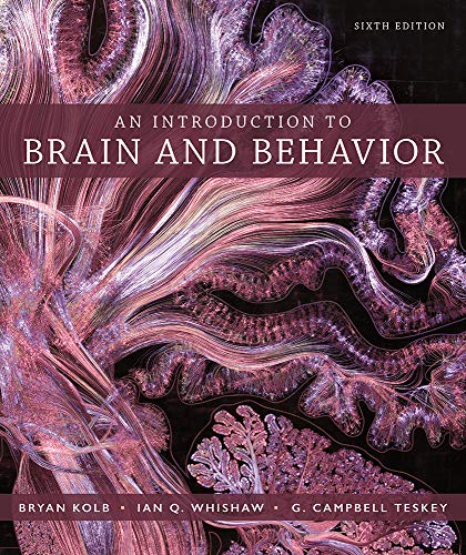 Stock image for An Introduction to Brain and Behavior for sale by BooksRun