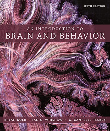 Stock image for An Introduction to Brain and Behavior for sale by Textbooks2go