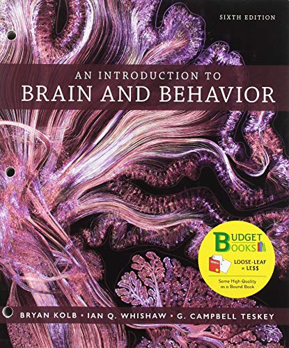 Stock image for Loose-leaf Version for An Introduction to Brain and Behavior for sale by Booksaver4world