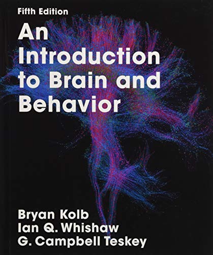 Beispielbild fr An Introduction to Brain and Behavior zum Verkauf von AwesomeBooks