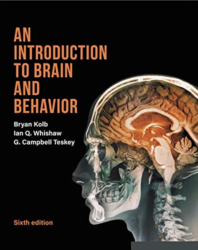 Stock image for An Introduction to Brain and Behavior for sale by medimops