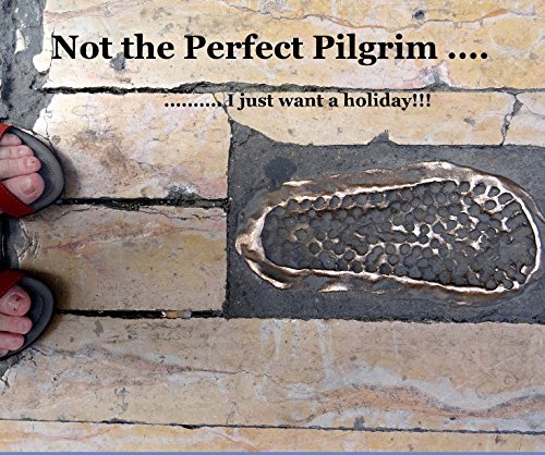 9781320120494: Not the Perfect Pilgrim ....