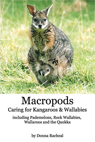 

Macropods - Caring for Kangaroos and Wallabies (Paperback)