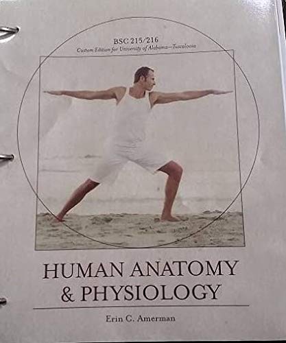 Imagen de archivo de Human Anatomy & Physiology - (BSC 215/216 - Custom Edition for the University of Alabama - Tuscaloosa) a la venta por HPB-Red