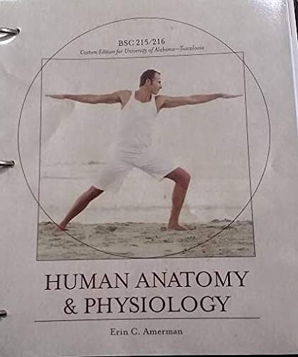 Stock image for Human Anatomy & Physiology - (BSC 215/216 - Custom Edition for the University of Alabama - Tuscaloosa) for sale by HPB-Red