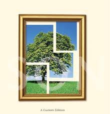 Immagine dell'editore per Exploring lifespan development palm beach state college Custom Edtion venduto da ThriftBooks-Dallas