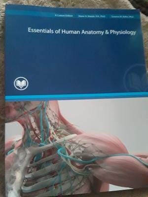 Imagen de archivo de Essentials of Human Anatomy & Physiology - Custom Edition a la venta por BooksRun