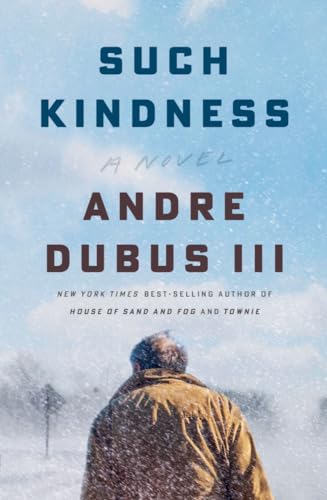 Beispielbild fr Such Kindness: A Novel zum Verkauf von More Than Words