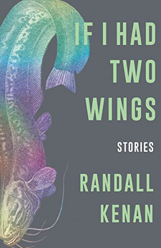 Stock image for If I Had Two Wings: Stories for sale by SecondSale