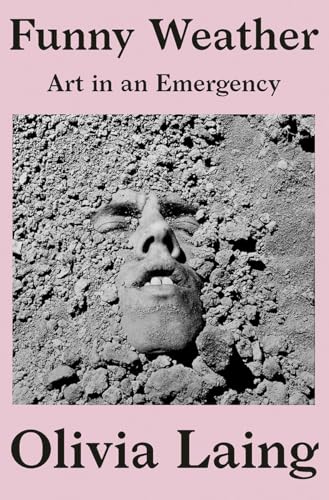 Stock image for Funny Weather: Art in an Emergency for sale by Stillwaters Environmental Ctr of the Great Peninsula Conservancy