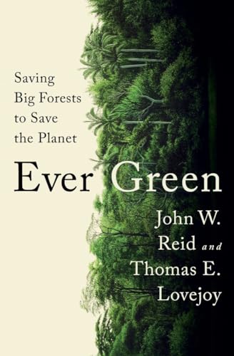 Stock image for Ever Green: Saving Big Forests to Save the Planet for sale by ThriftBooks-Atlanta