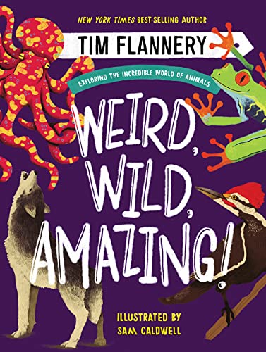 Beispielbild fr Weird, Wild, Amazing!: Exploring the Incredible World of Animals zum Verkauf von ThriftBooks-Reno