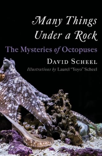 9781324020691: Many Things Under a Rock: The Mysteries of Octopuses