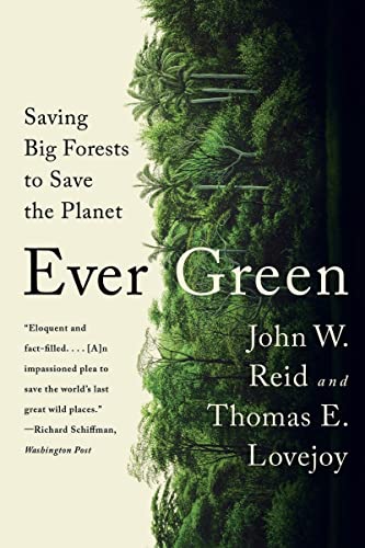 Stock image for Ever Green: Saving Big Forests to Save the Planet for sale by Books Unplugged